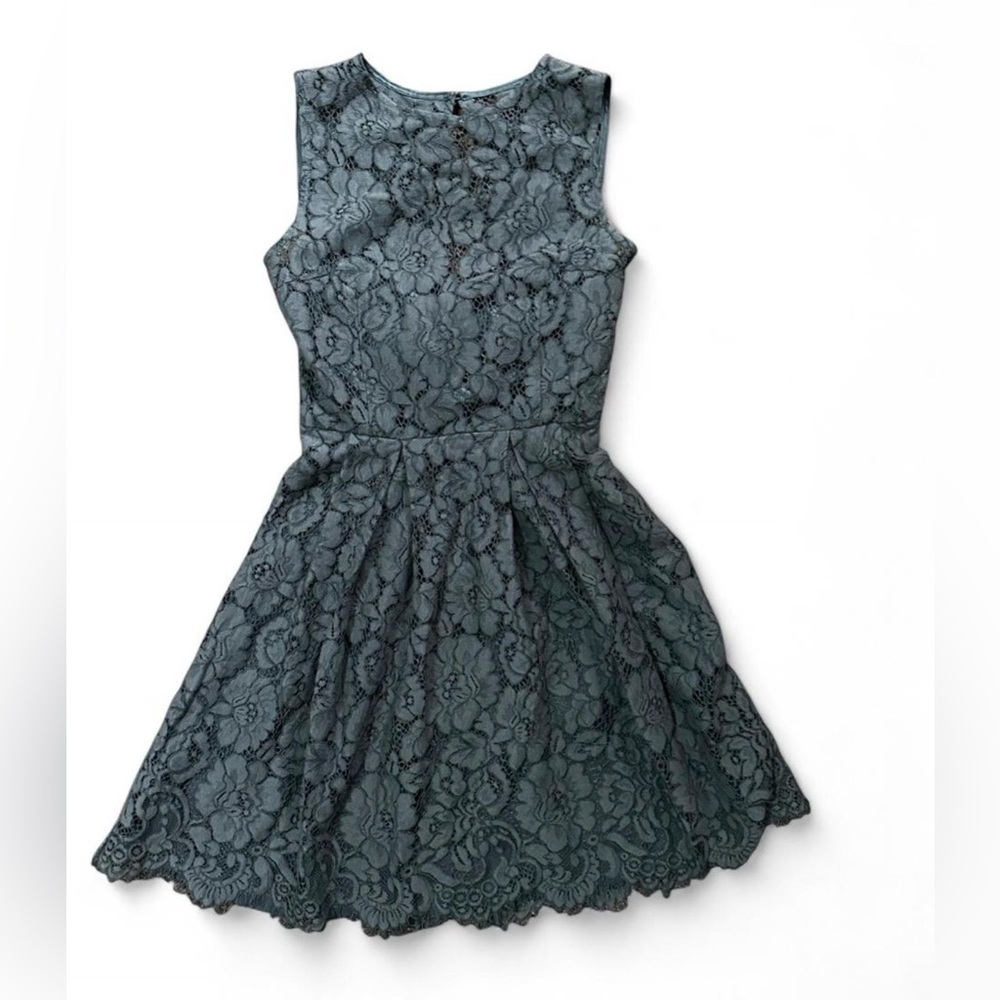 Hitherto Lace Sleeveless Dress